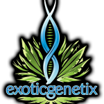 Exotic Genetics